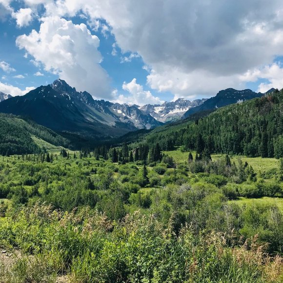 Meet your Posher, Amanda - Picture 1 of 1